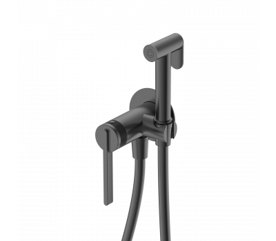 Гигиенический душ DQ Bonn встраиваемый DA1704506 