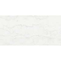Плитка керамогранитная AZARIO ROYAL BOTTOCHINO 60х120 Glossy P3211112141G 