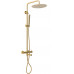 Душевая стойка Allen Brau Priority 5.31A10-GB золото браш 