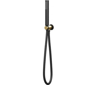 Душевой гарнитур Allen Brau Priority 5.31019-GB31 черный/золото 