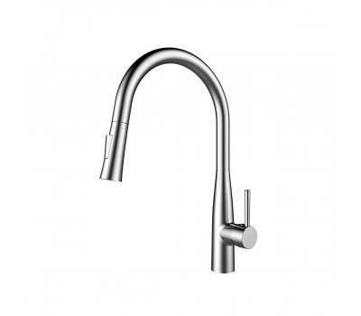 Смеситель для кухни Raiber RP-011, хром 