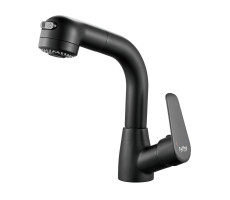 Смеситель для раковины многофункциональный Raffine F291H, черный