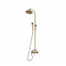 Комплект для душевой без излива душ "Цветок" Bronze de Luxe WINDSOR 10118/1F бронза 