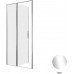 Душевая дверь Allen Brau Priority 100 3.31028.00 хром 