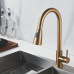 Смеситель для кухни с выдвижным изливом Raffine F213G, золотой сатин