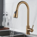 Смеситель для кухни с выдвижным изливом Raffine F213G, золотой сатин