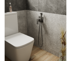 Смеситель для душа DK с гигиеническим душем встраиваемый серый графит Bayern.Liszt DA1514506 серый графит 