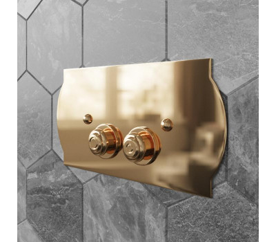 Клавиша смыва TW collection КНОПКИ СМЫВА TW300.3oro Золото Клавиша смыва TW collection КНОПКИ СМЫВА TW300.3oro Золото