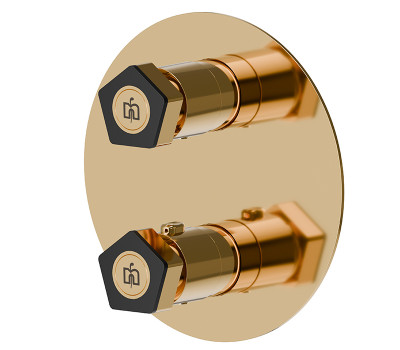 Смеситель для душа термостат Newform ParkLE 69808E.62.093 Золото 