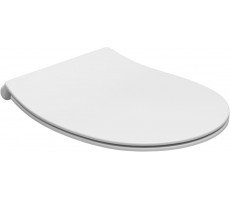 Сиденье для унитаза Allen Brau Fantasy 4.11005.21 белый матовый