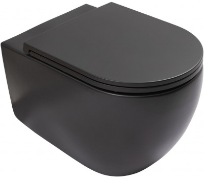 Унитаз подвесной Allen Brau Reality 4.32015.31 черный матовый 