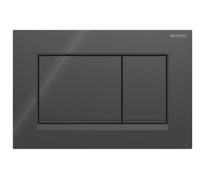 Клавиша смыва, Geberit Sigma 30 115.883.DW.1 цвет-чёрный/чёрный матовый Клавиша смыва, Geberit Sigma 30 115.883.DW.1 цвет-чёрный/чёрный матовый