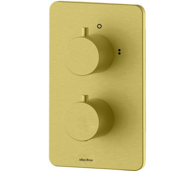 Смеситель для ванны Allen Brau Priority 5.3U123-GB (с внутренней частью, 3 выхода) золото браш 