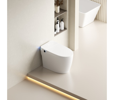 Умный электронный унитаз с функцией биде SantiLine SL-5035 
