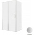 Душевой уголок Allen Brau Priority 120x80 3.31032.BA + 3.31041.BA серебро браш 