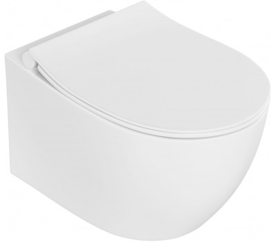 Унитаз подвесной Allen Brau Fantasy 3 Vortex 4.11035.21 белый матовый 