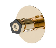 Смеситель для душа термостат Newform ParkLE 69807E.62.093 Золото 