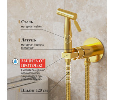 Смеситель с гигиеническим душем PAINI Castello Round, встраиваемый, брашированное золото PVD (PJ) CAPJ442R 
