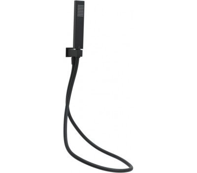 Душевой гарнитур Allen Brau Infinity 5.21021-31 черный матовый  Душевой гарнитур Allen Brau Infinity 5.21021-31 черный матовый