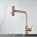 Смеситель для кухни с мультифункциональным изливом Raffine F203G, золотой сатин